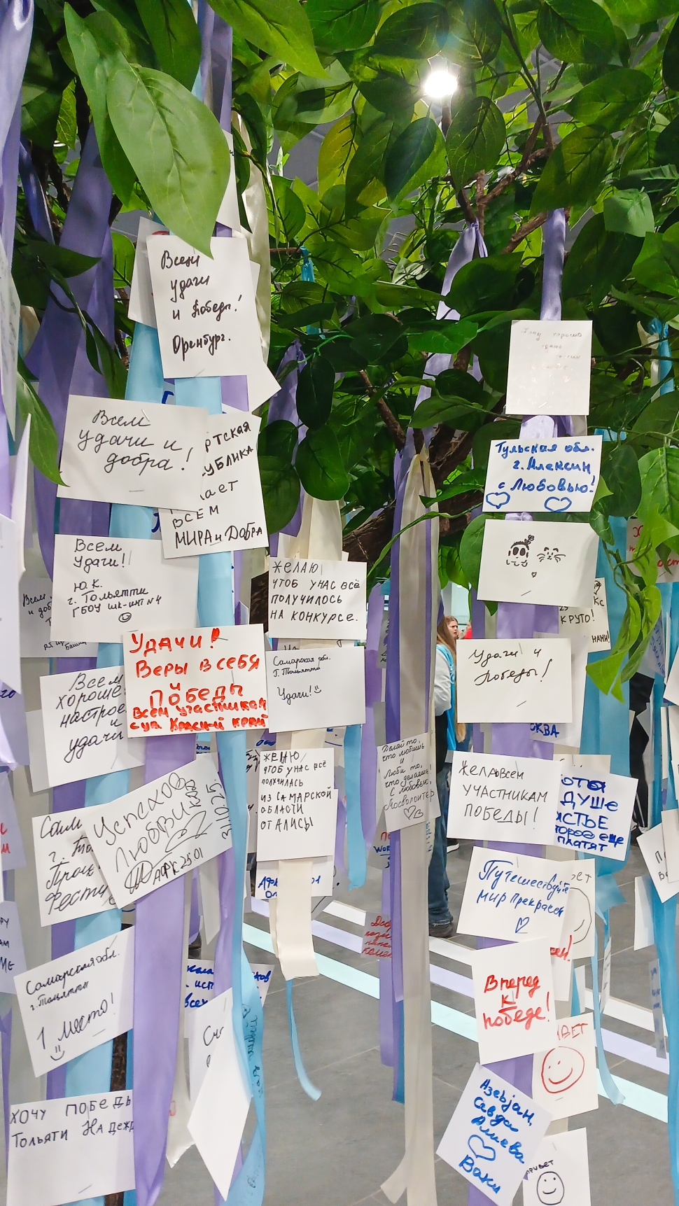 Новая фотография