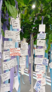 Новая фотография