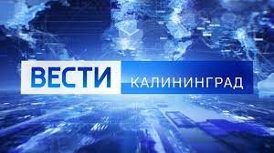 В Калининградской области впервые проходит молодёжный форум «СВОИ в кадре»
